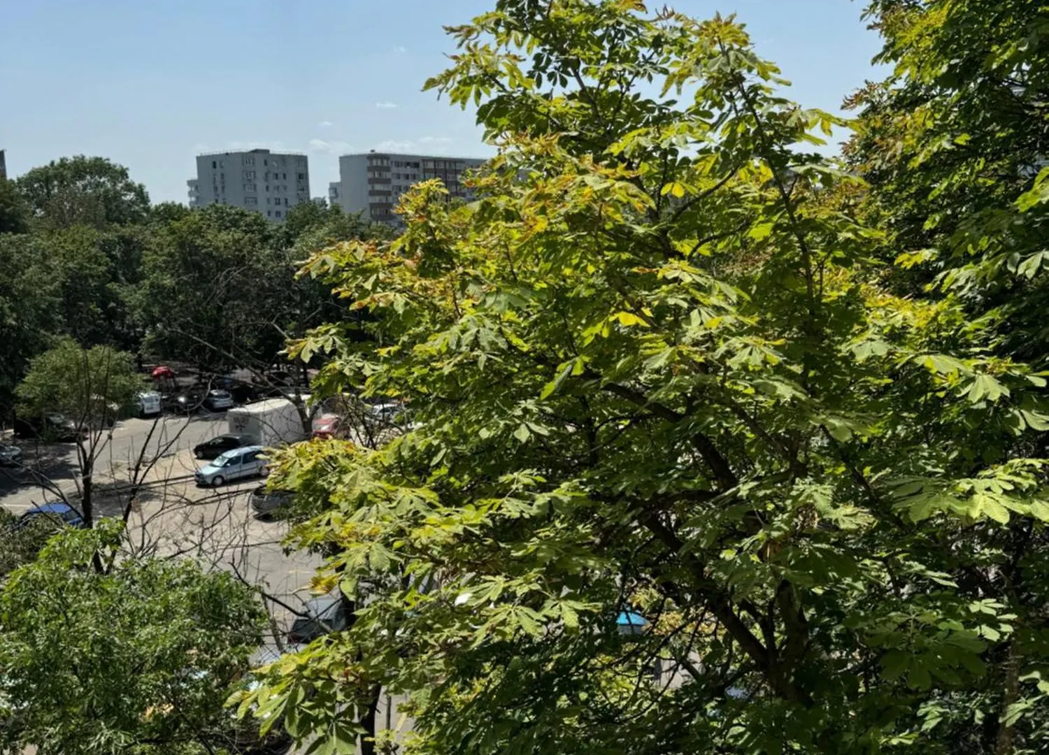 Park Lake Apartment Bucureşti