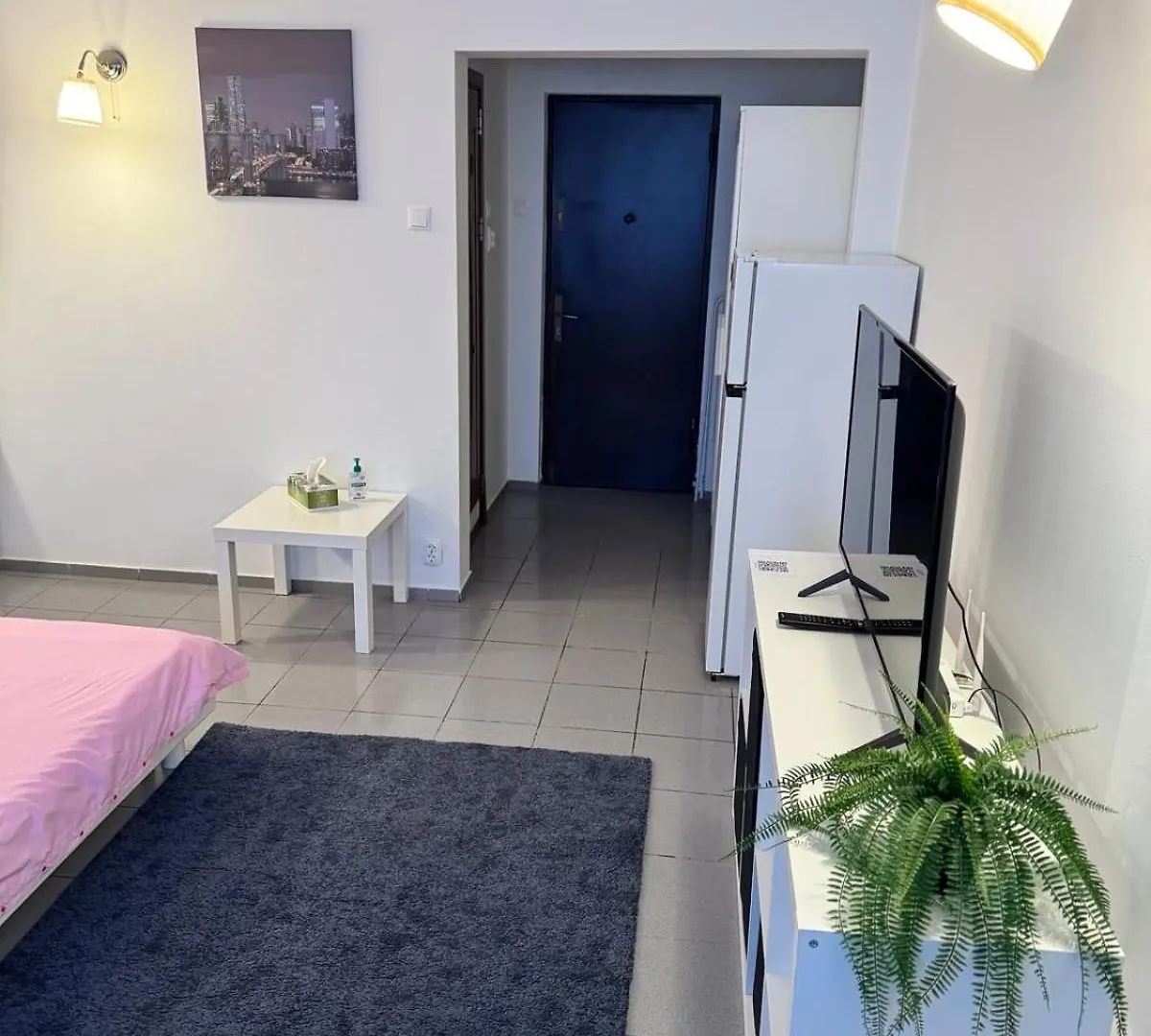 Park Lake Apartment Bucureşti